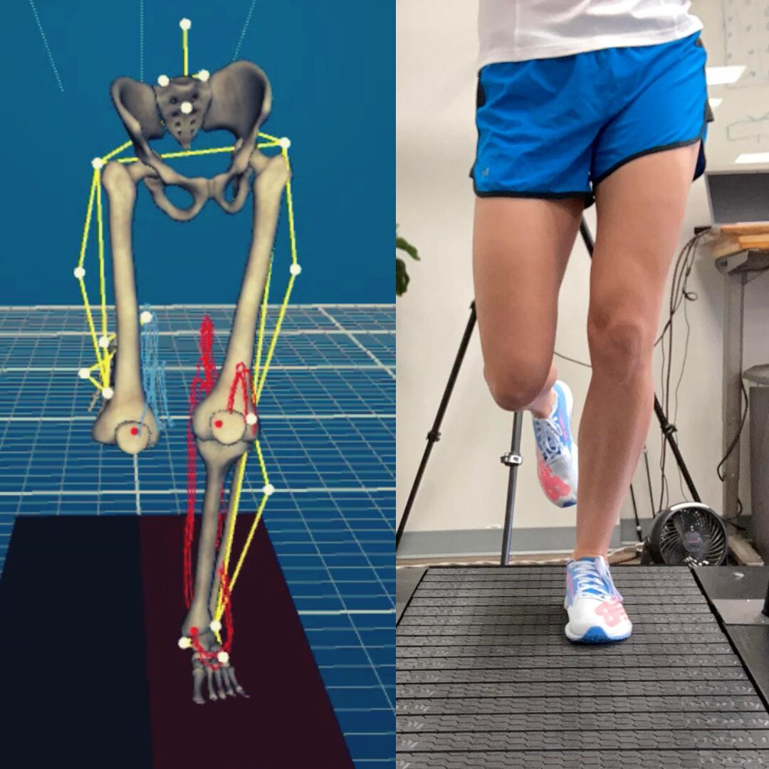 Single leg sit to stand sale