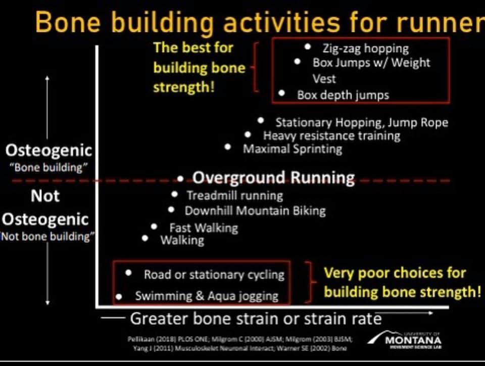 Training load and bone health