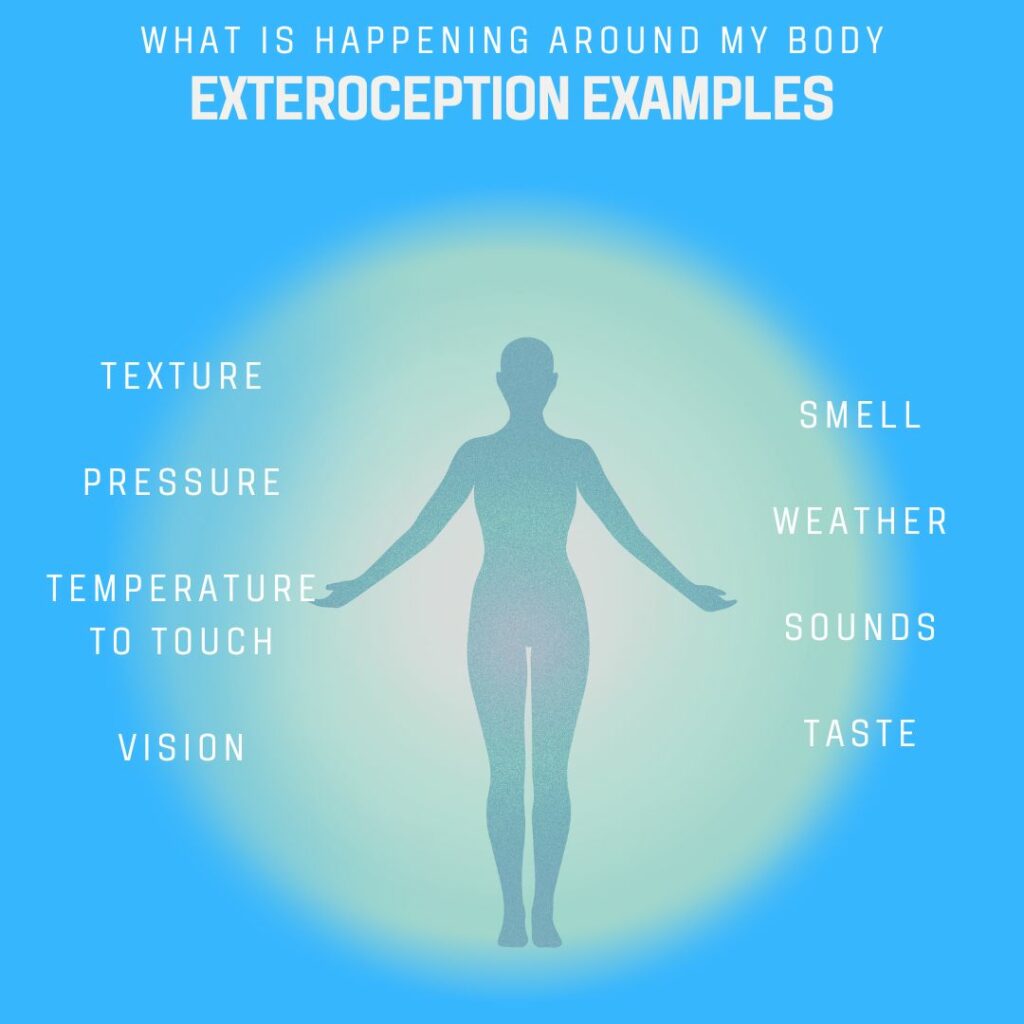 Exteroception